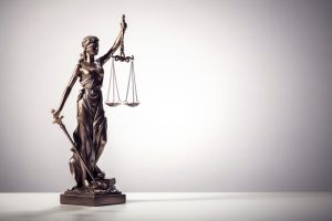Read more about the article Guardians of Justice: Civil Rights Law Strategies for NYS Attorneys Post-Trump Era