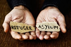 Read more about the article Pleading for Safety: Legal Strategies for NYS Attorneys Representing Asylum Seekers and Refugees