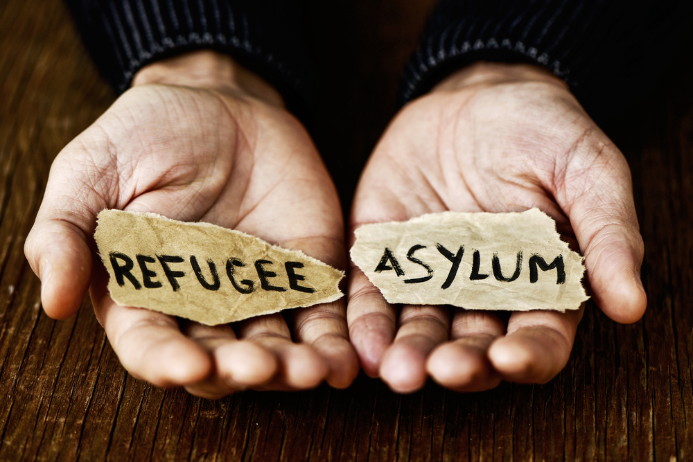 Read more about the article Pleading for Safety: Legal Strategies for NYS Attorneys Representing Asylum Seekers and Refugees