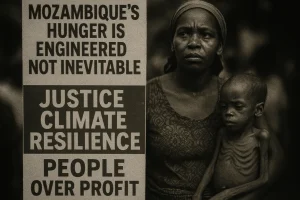 Read more about the article The Perfect Storm: Deconstructing Mozambique’s Deepening Food Crisis